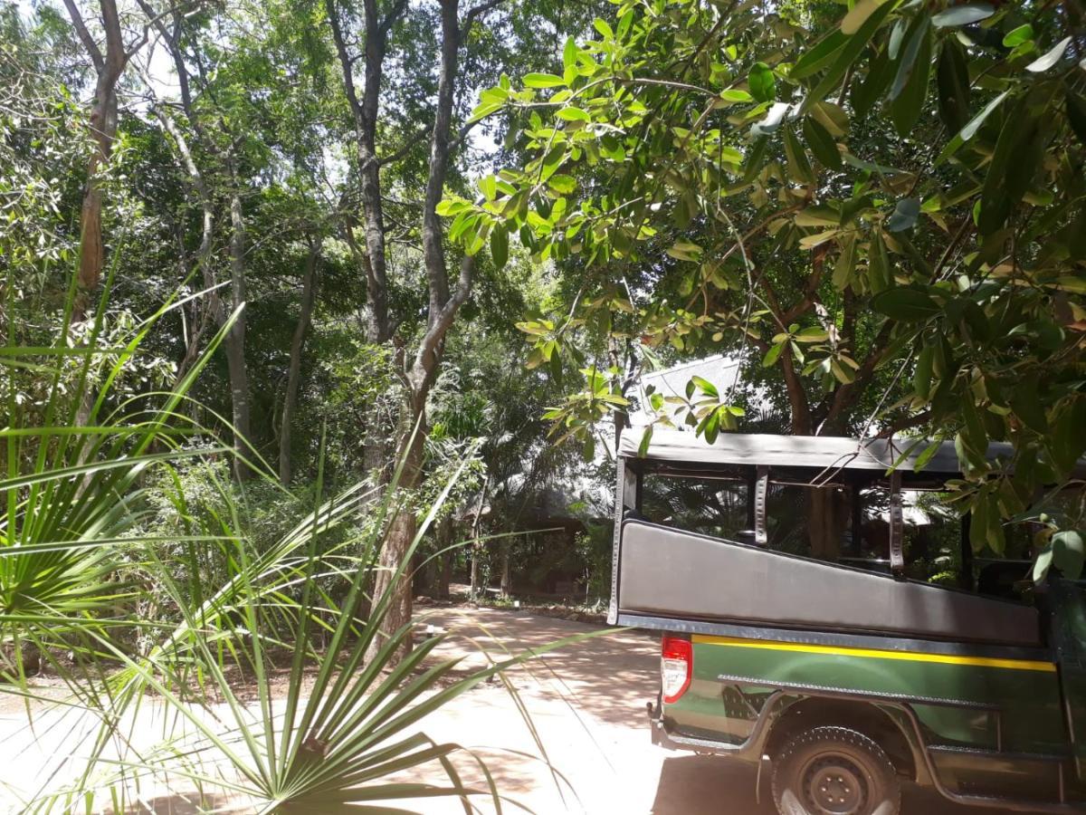 Kruger Eden Lodge Marloth Park Exterior foto